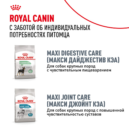 Сухой корм Royal Canin Maxi Dermacomfort для взрослых крупных пород 10 кг